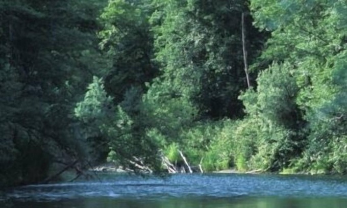 Douglas City Casa | Great Trinity River Fishing en 3 Bed 2 Bath House, $ 200 / nt, se consideran mascotas