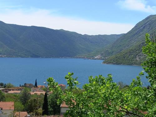 Risan Casa | Great view