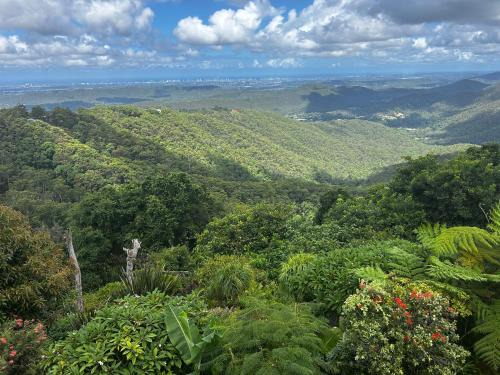 Mount Tamborine Casa | Green Cauldron, Homestay, Tamborine Mountain, Private Room, Ensuite, Private Courtyard, Gold Coast Views