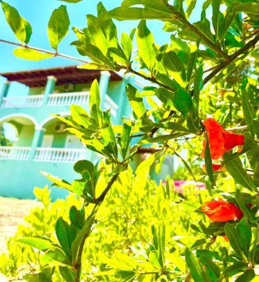 Pagi Casa | Green Hill House