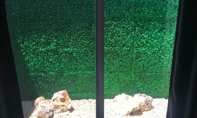 Centro de Cancún Apartamento | Green Lofts