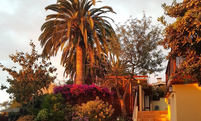 La Orotava Cabina | oasis verde en el norte de Tenerife