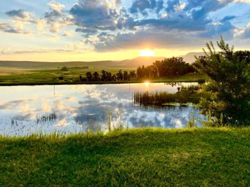 Newcastle Cabina | Grey Goose Game Lodge