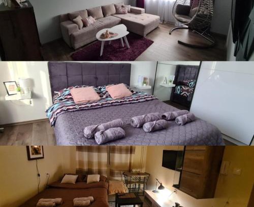 Zajecar Apartamento | Grey & Sunny Apartments Zaječar