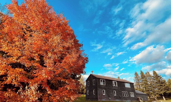 Rangeley Casa | Grey Wulff on Main - convenient to downtown Rangeley and Saddleback MTN!