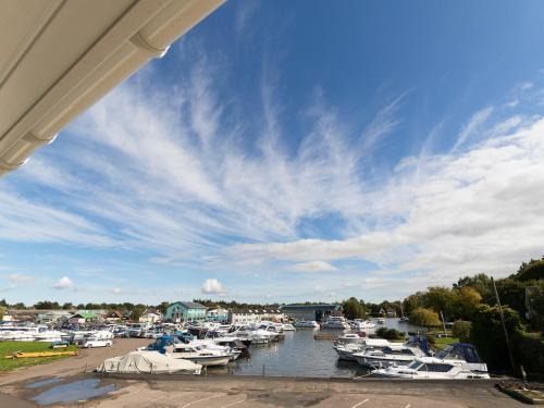 Wroxham Casa | Greylag Goose - Ukc2110