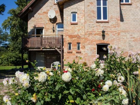 Bentwisch Apartamento | Großbauernhaus