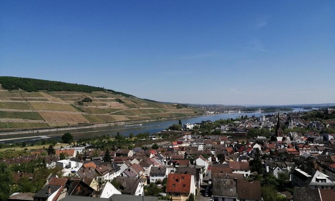 Mainz-Bingen Apartamento | Großes PANORAMA APARTMENT