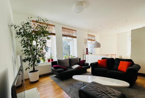 Bad Homburg v.d. Hoehe Apartamento | Großes und helles Innenstadt Apartment - Ferienwohnung