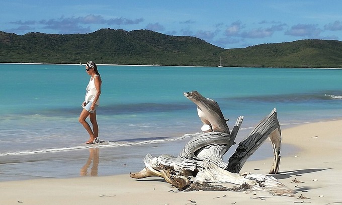 Pointe-a-Pitre Alquiler De Eote | Guadalupe navegando