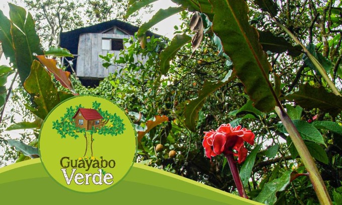 Pacto Otro | Guayabo Verde