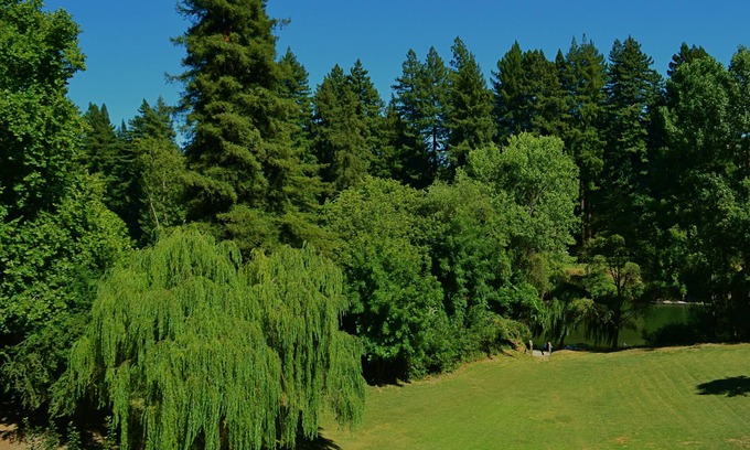 Guerneville Casa | Guerneville Lodge