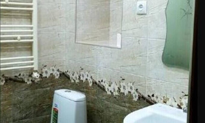 Gyumri Casa | Guest House A. S.T Gyumri