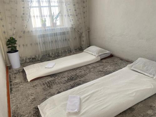 Naryn Region Casa | Guest House Aitunuk
