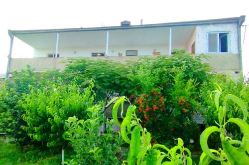 Geghanist Casa | Guest House Ed&Er