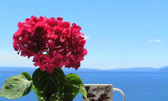 Volosko Casa | Guest House Lifestyle Holiday