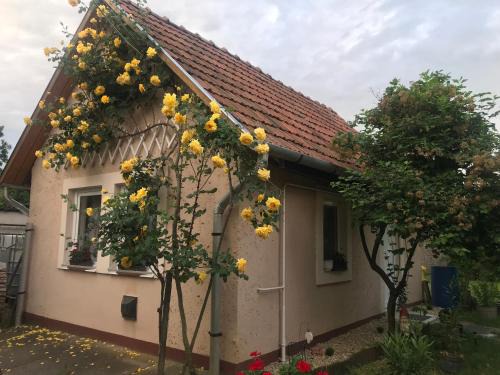 Egerszalok Casa | Guest House Rózsakert