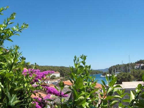 Vrboska Casa | Guest House Roza