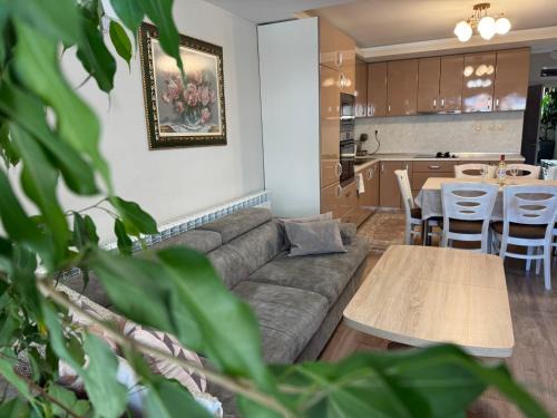 Petrich Apartamento | Guest House Tatiana/Къща за гости ТАТЯНА