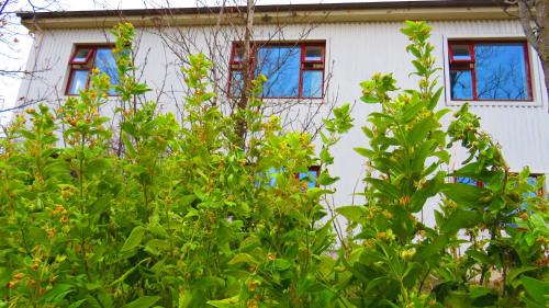 Hofn Casa | Guesthouse Kálfafellsstadur