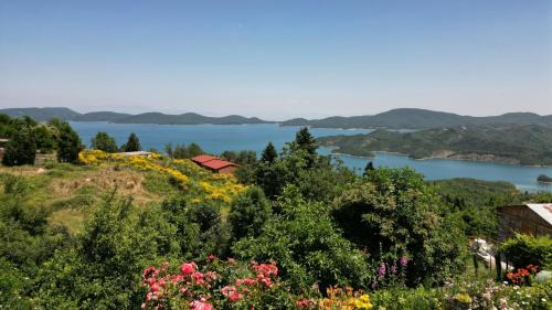 Lake Plastiras Casa | Guesthouse Mitsiopoulou