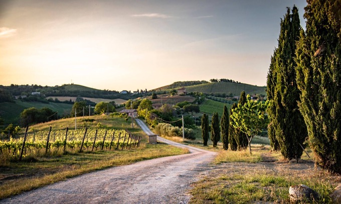 Montalto delle Marche Otro | ¡Último minuto! - Il Largo delle Querce