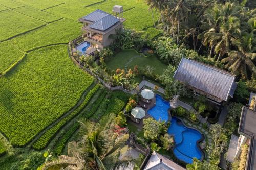 Ubud City-Centre Hotel | Gynandha Ubud Cottage