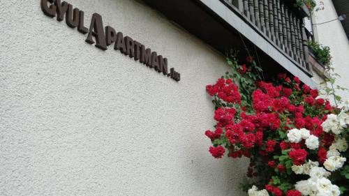 Gyula Apartamento | GyulApartman