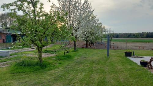 Langeloh Apartamento | Hühnerhof-Röhrs