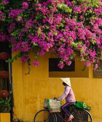 Cam Pho Casa | Hội An Spirit Homestay