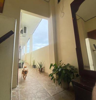 Ecuador Apartamento | Habitaciones Guadalupe