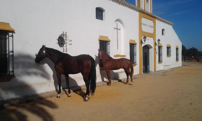 Utrera Casa | Hacienda La Indiana