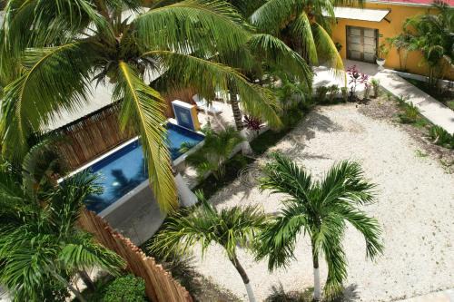 Tulum Cabina | Hacienda la floresta