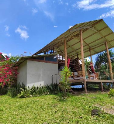 Pavones Otro | Hacienda Monteclaro