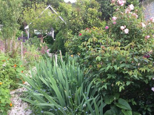 Hahei Apartamento | Hahei Kereru Cottage