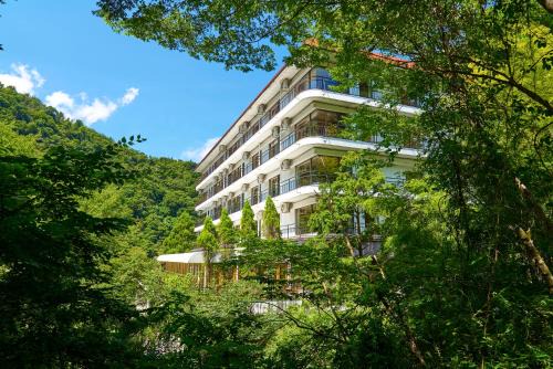 Hakone Hot Springs Hotel | Hakone Yumoto hotel
