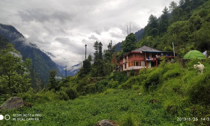 Kullu Casa | Hakuna matata - by Timon & pumba