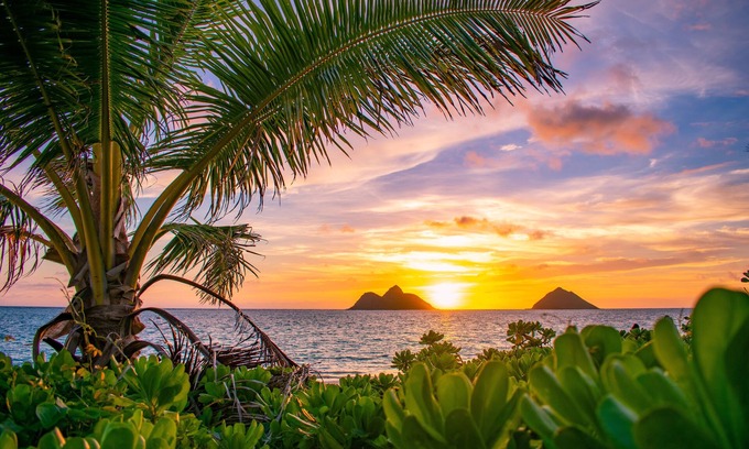 Lanikai Casa | Hale Alapi'i Lanikai Getaway by Gather: Newly Renovated Near Beach & Hiking