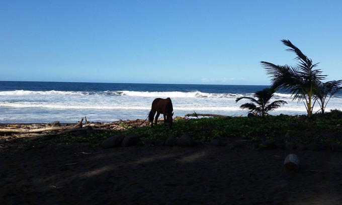 Ninole Casa | Hamakua Pukana La Hale 3 Bedroom Home by RedAwning