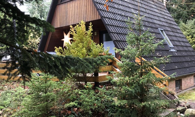Ovelgoenne Cabina | Hambuehren, Celle Märchenwaldhaus Drosselbart, Nurdachhaus Waldgrundstück