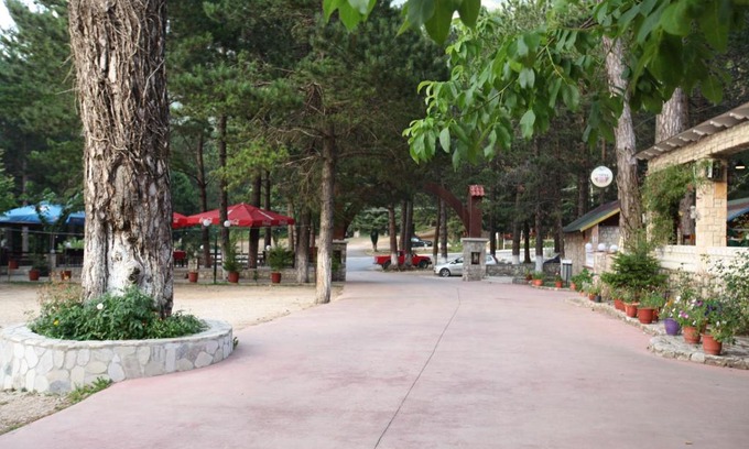 Llogara National Park Otro | Hamiti Camping Center