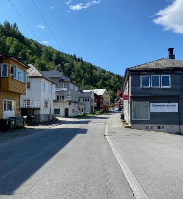 Surnadal Casa | Hammerstuene mat - og gjestehus
