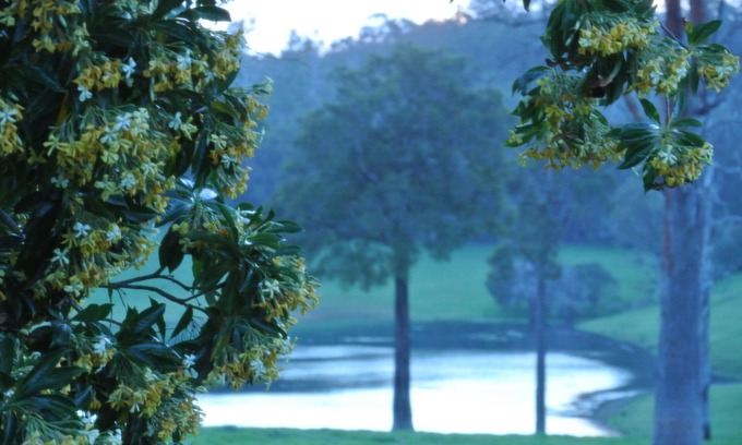 Upper Warren Casa | Hampshire Farmhouse - beautifully appointed home in WA's Southern Forests