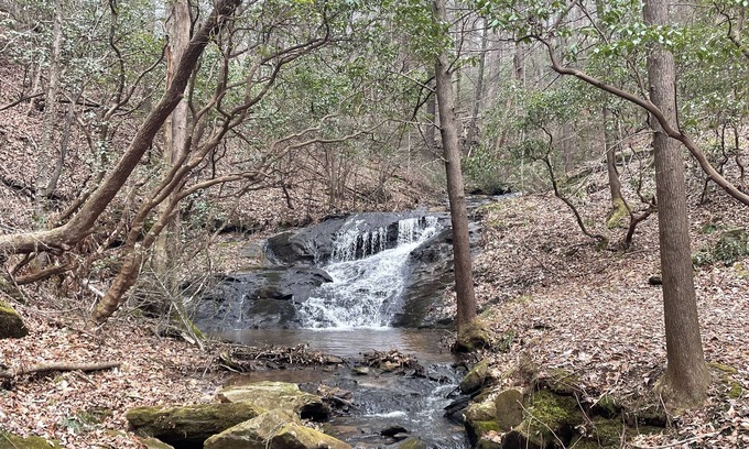 Dahlonega Cabina | Handicapped Friendly in Dahlonega