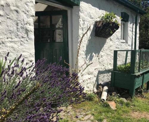 Abergele Casa | Hapus Yurt - Two Beautiful Yurts and Barn Cottage