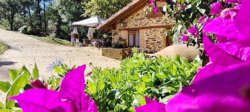 Sopuerta Apartamento | Haraneko errota