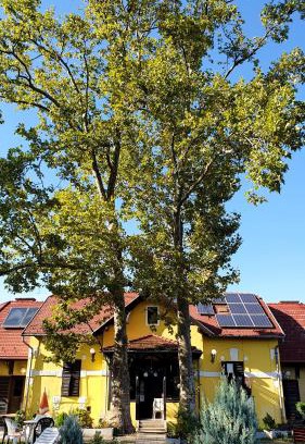 Balatonlelle Apartamento | Harmónia Apartmanház
