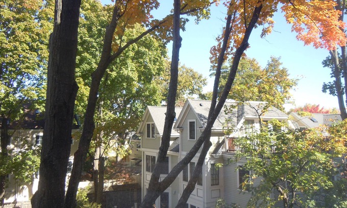 Mid-Cambridge Apartamento | Harvard Square!