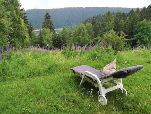 Schulenberg im Oberharz Apartamento | Harz-See-Lodge
