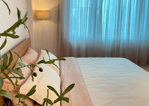Tay Ho Casa | Hase Homestay